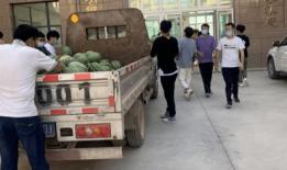 临泉吃瓜最新事件爆料新闻,最新爆料揭露惊人内幕